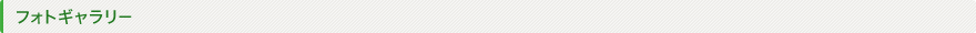 フォトギャラリー